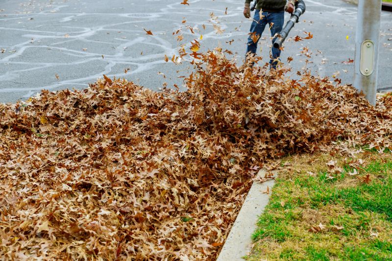 Mulch Blowing Services Overview