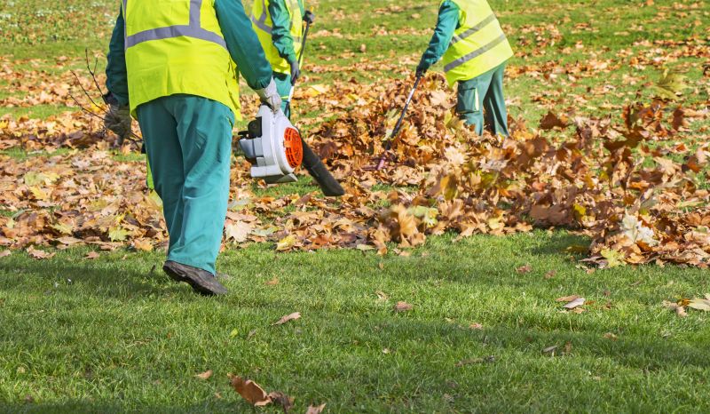 Mulch Blowing Services Promotions