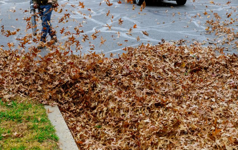 Mulch Blowing