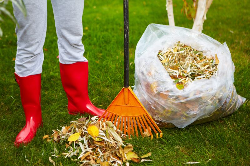 Leaf Collection in Bags